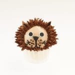 Hedgehog Cupcake